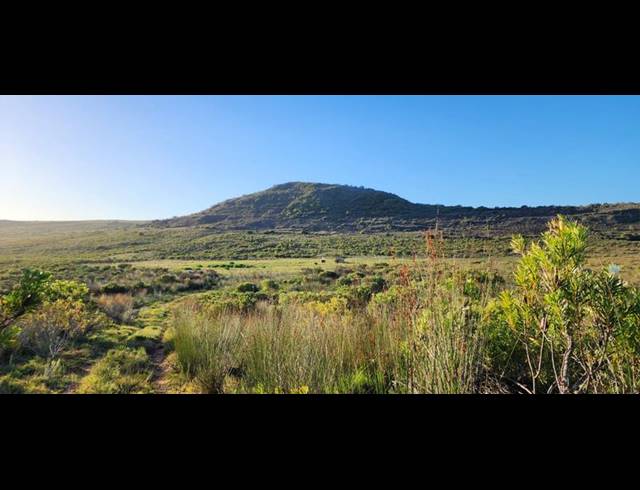 FARM FOR SALE IN STILBAAI RURAL